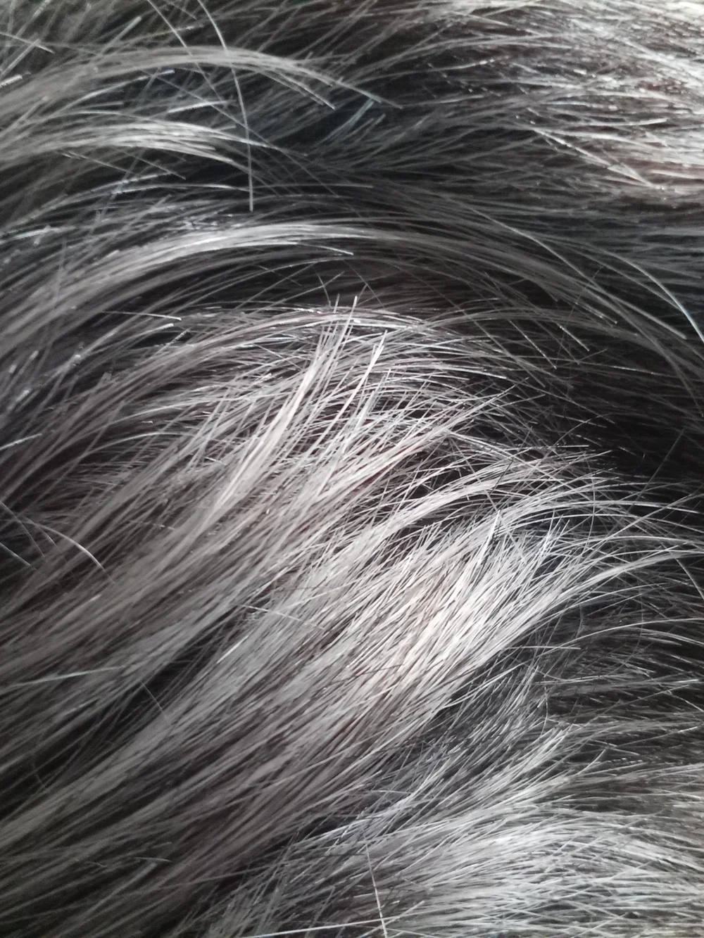 Raquel Welch Hair Wig - Elegant Gray Shade